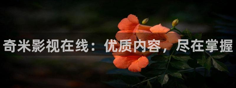 光棍电影y1111111