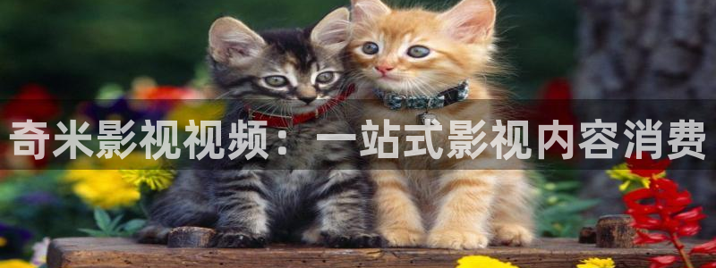 光棍手机免费影院