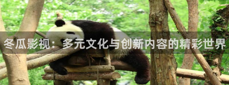 yy111111手机光棍影院