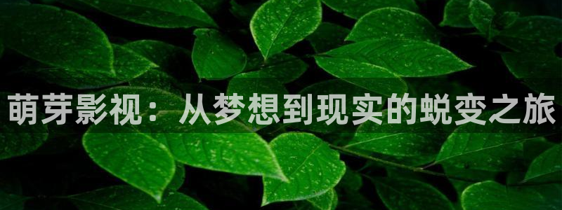 光棍电影1111伦理
