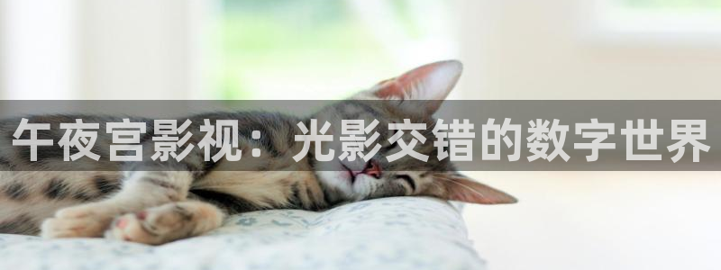 北条麻妃光棍影院