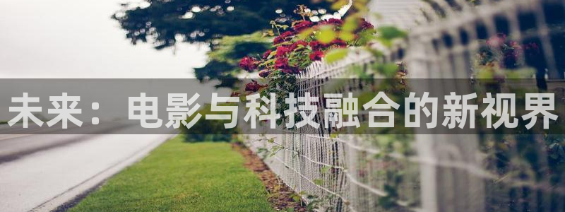 新光棍理论电影